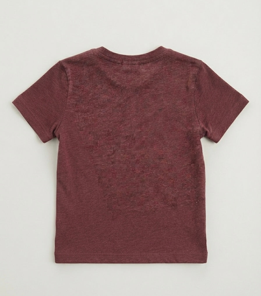 CAMISETA VINO PAW PATROL