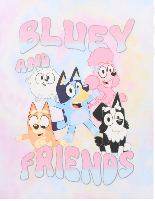 Camiseta Bluey and friends TIE DYE