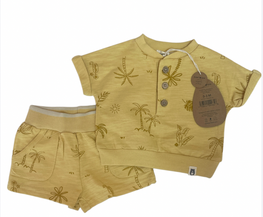 Conjunto Amarillo Palmera