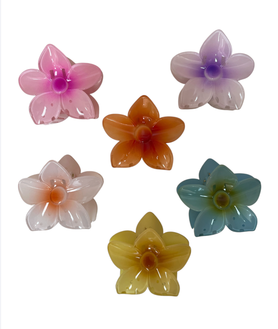 Ganchos Hawaianos