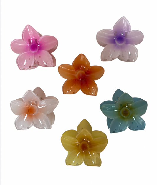 Ganchos Hawaianos