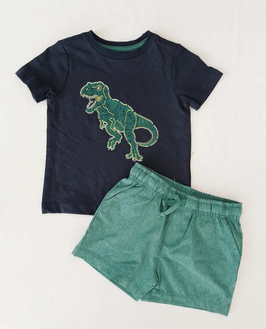 Conjunto Dinosaurio